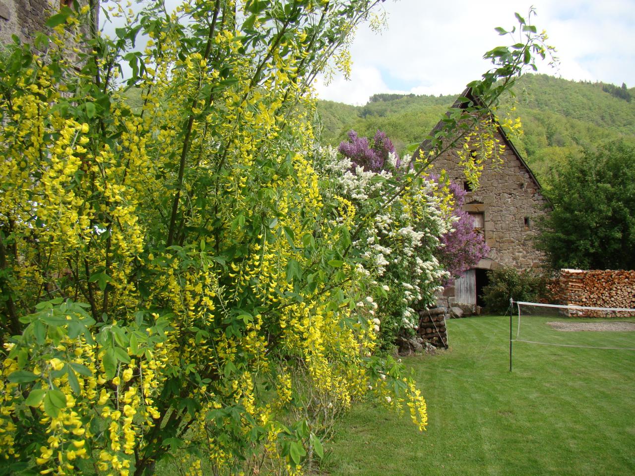 Jardin au printemps