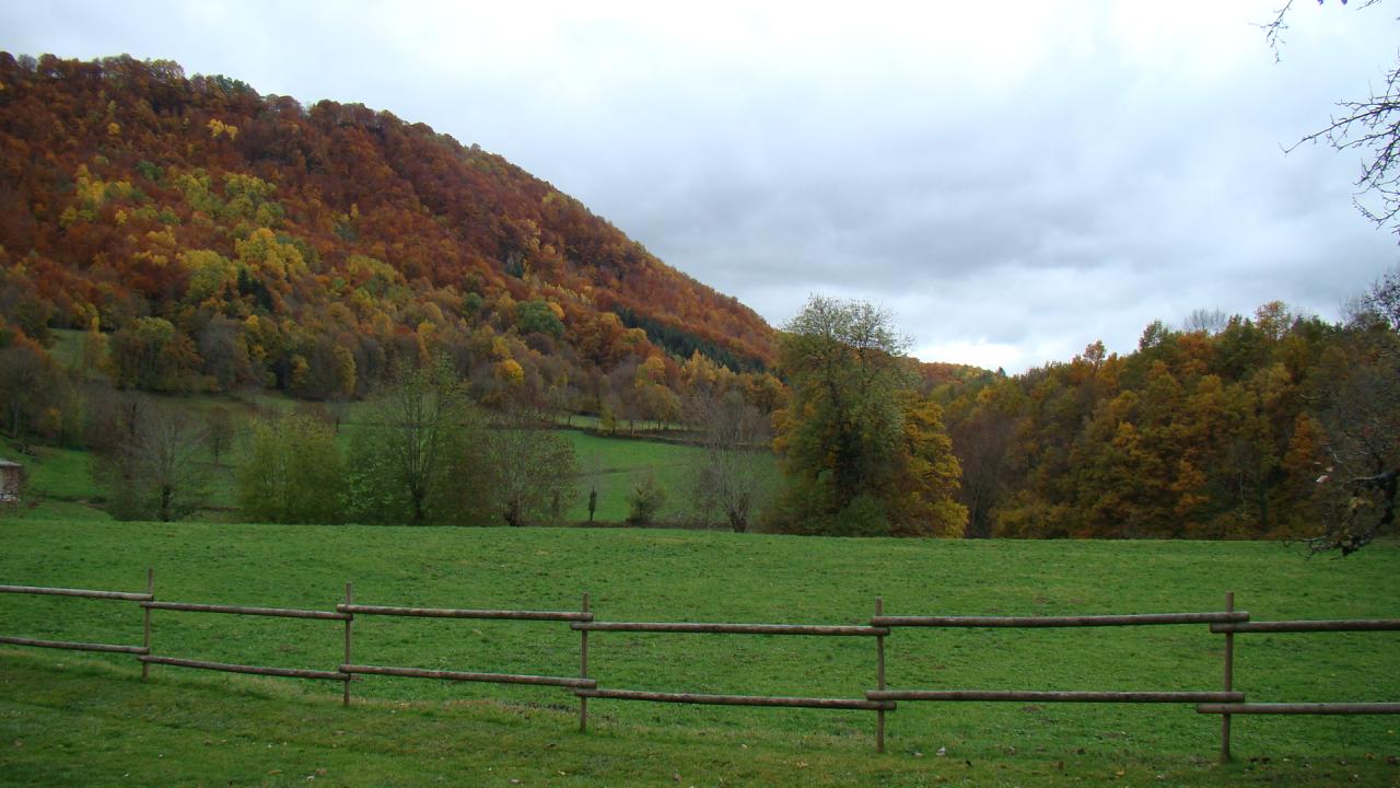 Vue du jardin sud