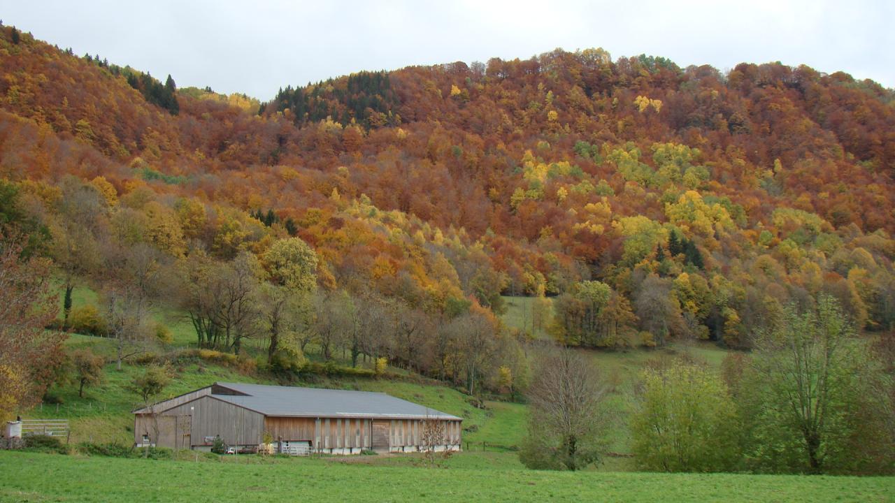 Vue du jardin ouest