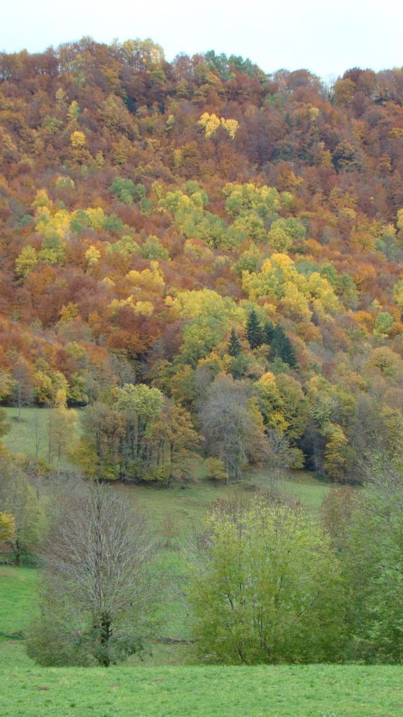 Vue du jardin ouest